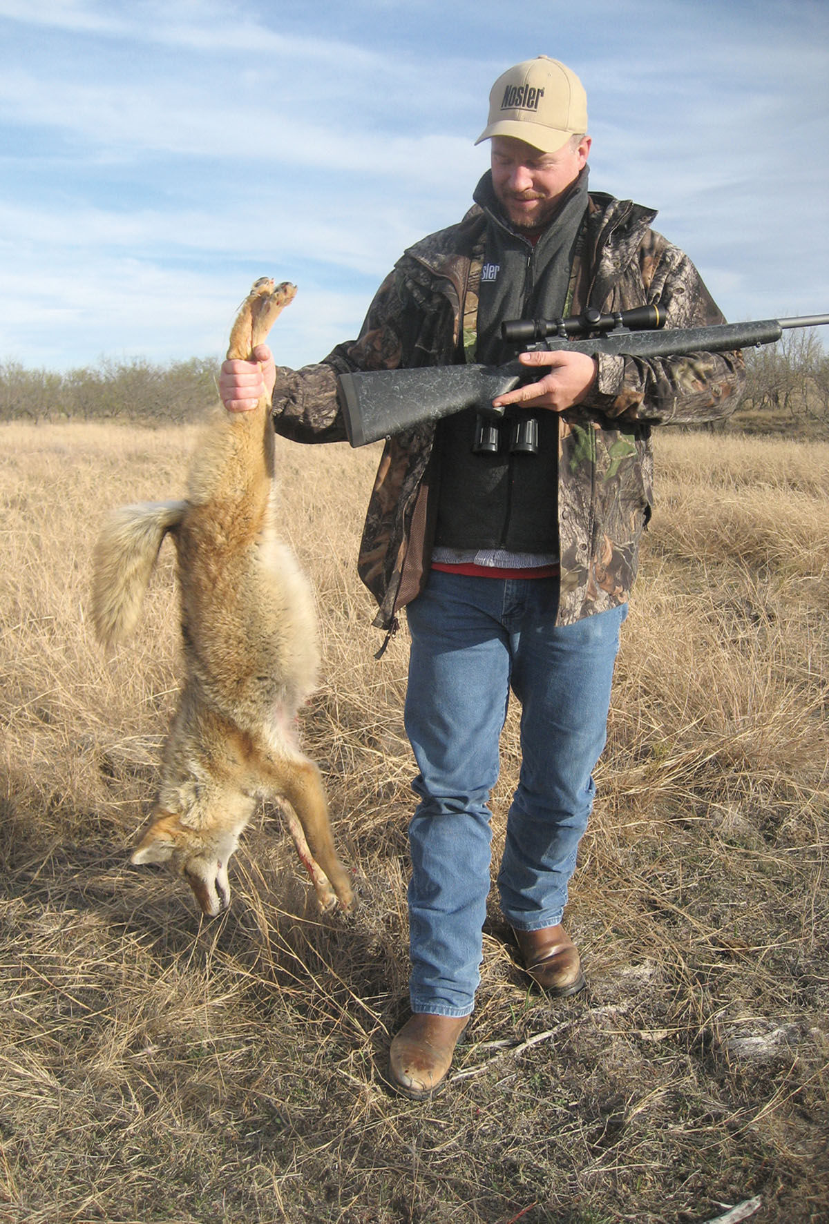 Big game hunters occasionally run into coyotes. The deer rifle they have in hand at the time will work just fine. This hunter used a .325 WSM to take this coyote.